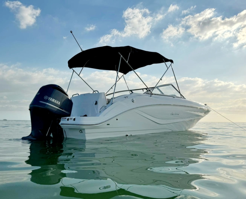 Cape Coral Charter Boats
